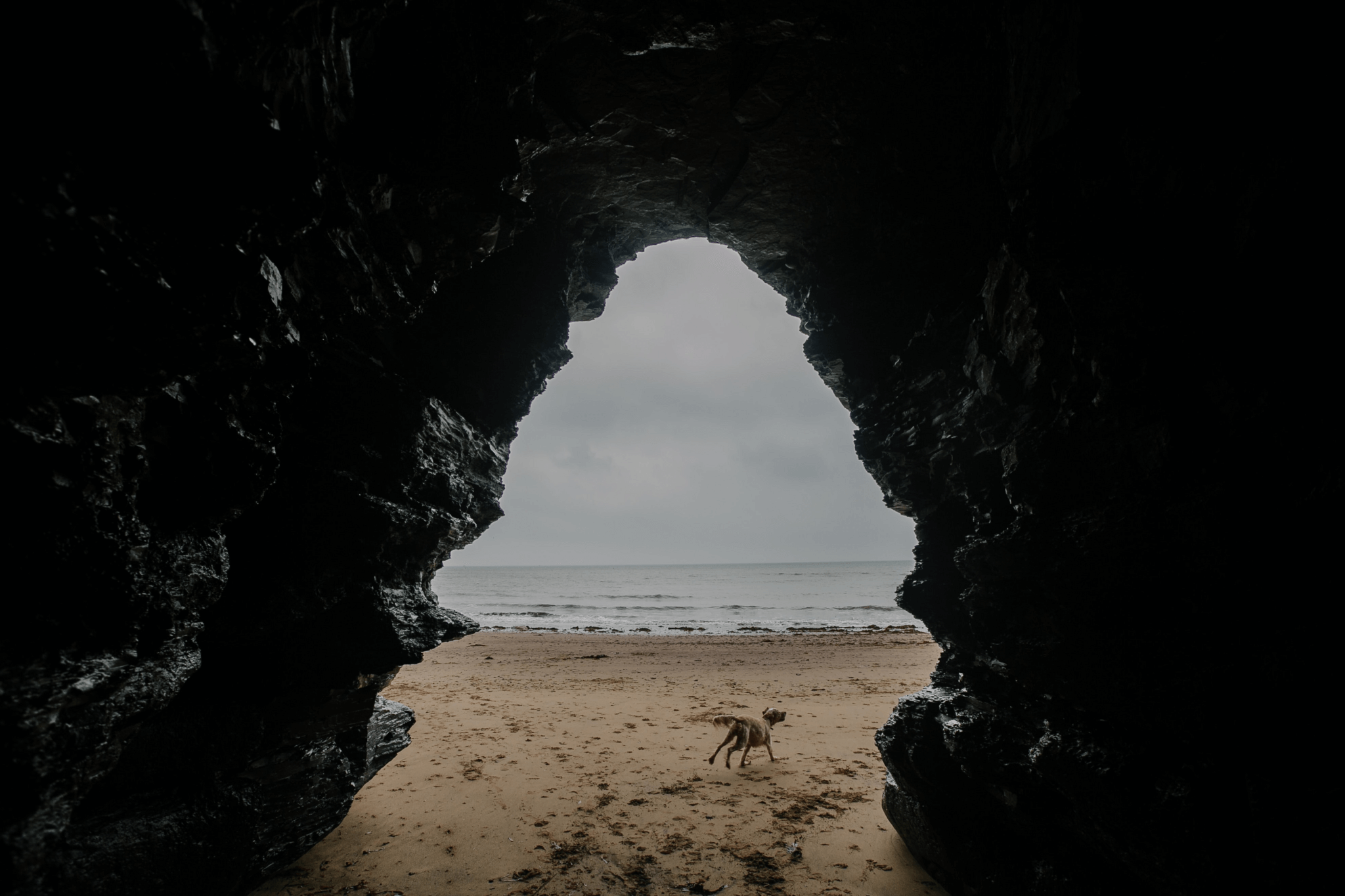 sandy beach and cave image